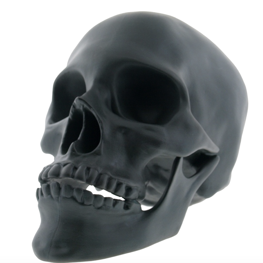 Porcelain Black Matte Skull